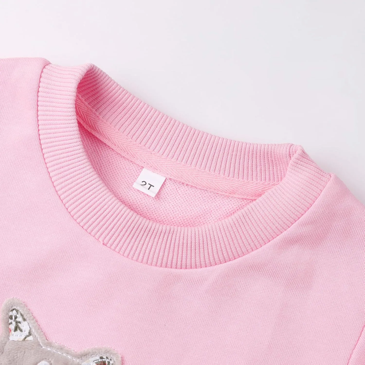 Akyzic Little Girls Sweatshirts Cotton Long Sleeve Crewneck Pullover Toddler Kids Winter Warm Shirt Sweater Tops 2t-8t