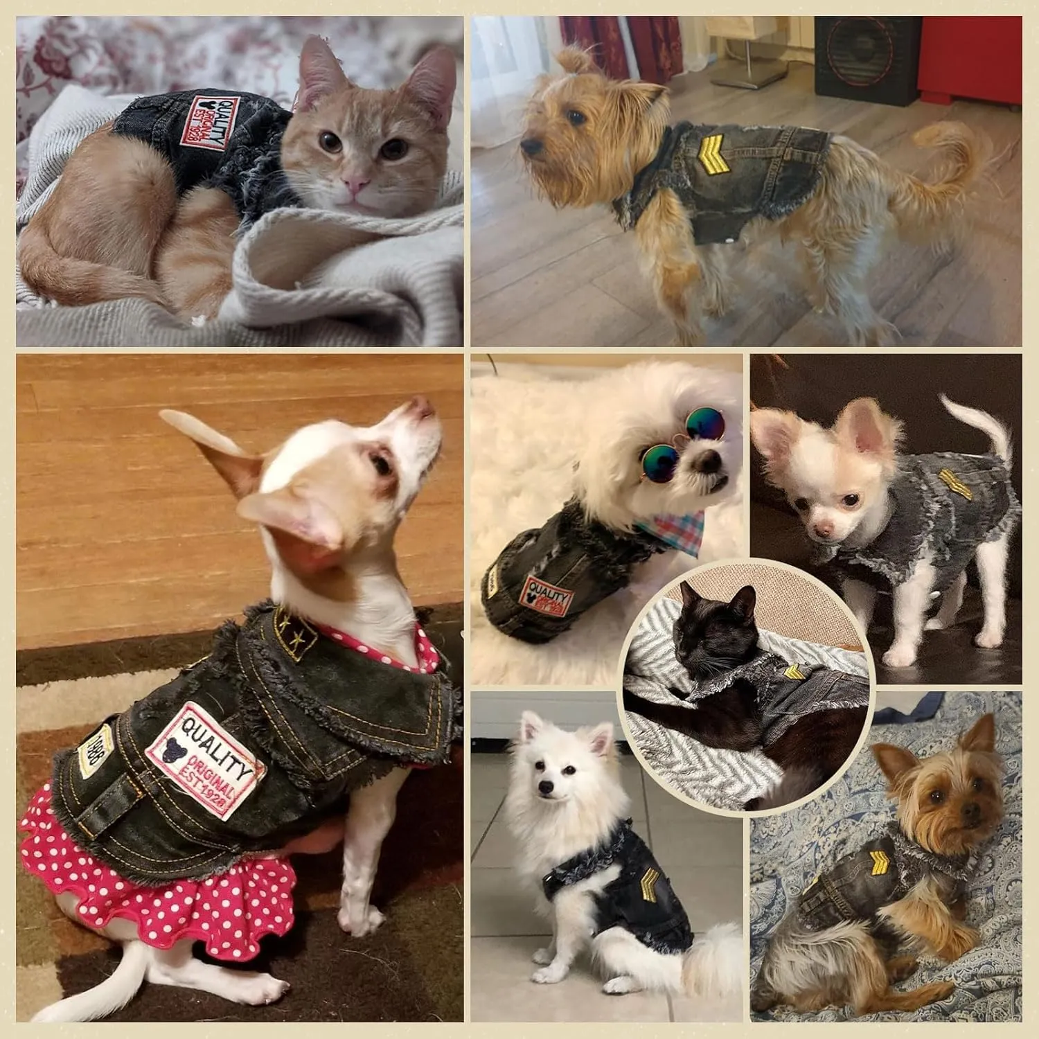 Cool Black Dog Jean Jacket Small Pet Outfits Dog Clothes for Small Medium Dogs Cats Boys Girls Pet Vest Denim Coats Puppy Shirts Doggy Costume Clothing for Shih tzu Chihuahua Yorkie Teacup