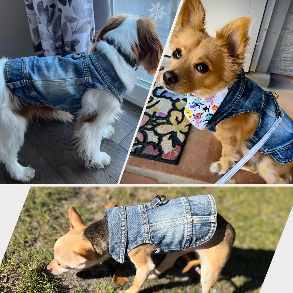 Dog Jean Jacket, Blue Denim Shirt Classic Lapel Vest Coat Costume Puppy T-Shirt, Comfort Tank Top Cool Apparel, Washed Pet Clothes for Dogs Boy Girl (with D-Ring, Large)