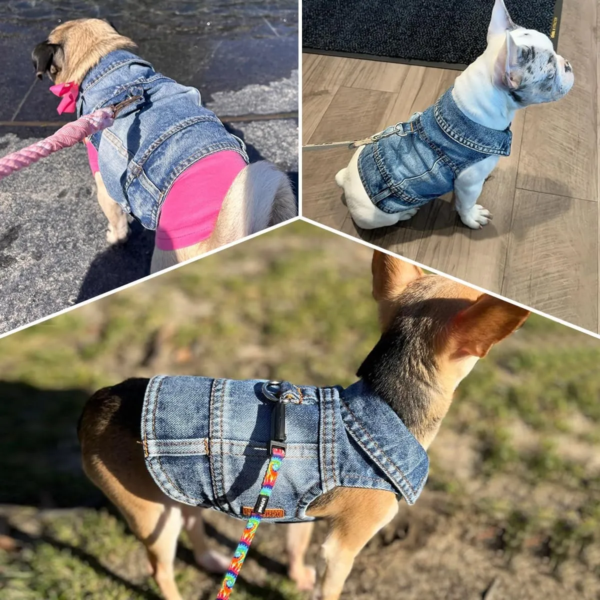 Dog Jean Jacket, Blue Denim Shirt Classic Lapel Vest Coat Costume Puppy T-Shirt, Comfort Tank Top Cool Apparel, Washed Pet Clothes for Dogs Boy Girl (with D-Ring, Large)