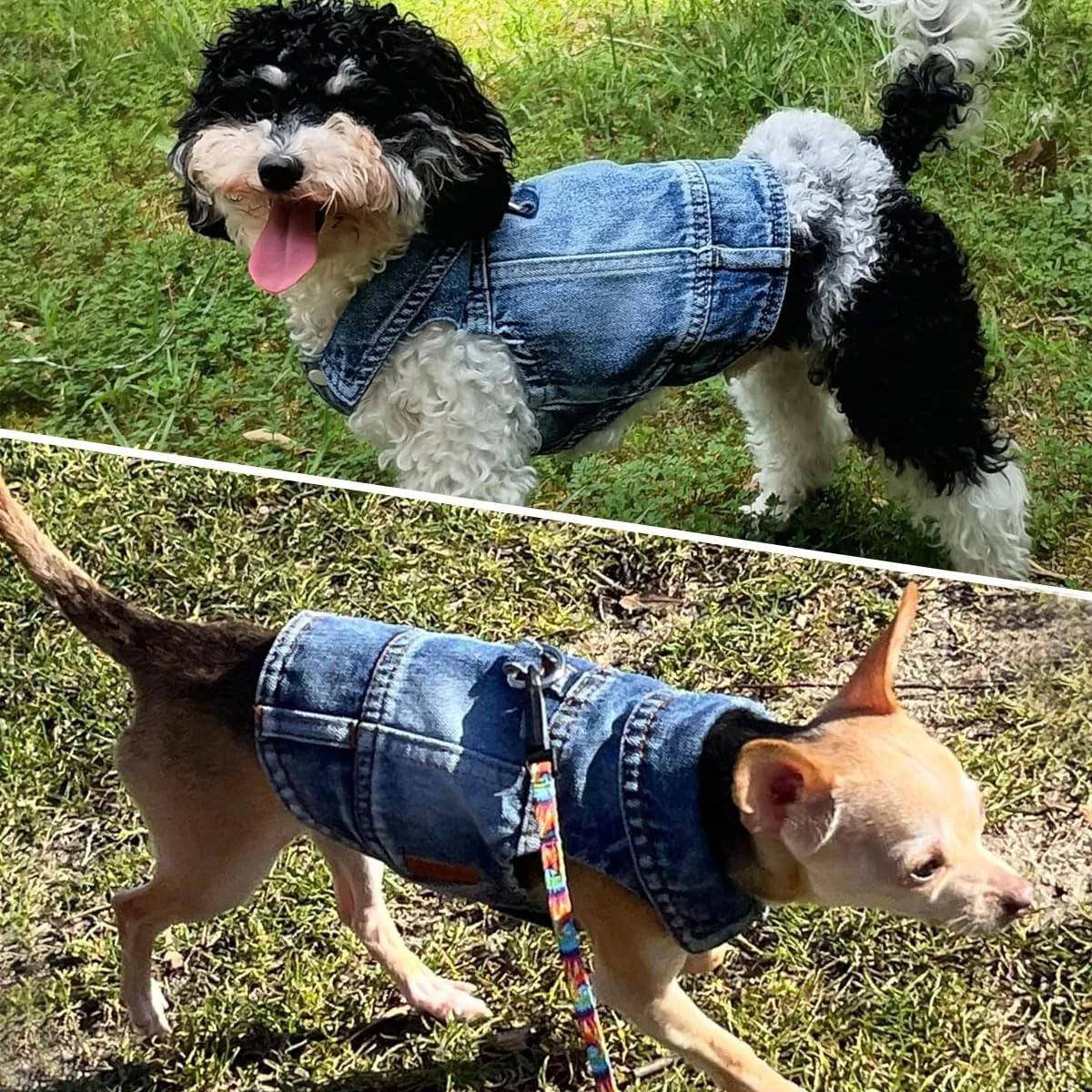 Dog Jean Jacket, Blue Denim Shirt Classic Lapel Vest Coat Costume Puppy T-Shirt, Comfort Tank Top Cool Apparel, Washed Pet Clothes for Dogs Boy Girl (with D-Ring, Large)