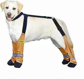 Dog Snow Boots,Dogs Booties with SuspendersAnti-Slip Dog ShoesDirty-Proof Dog Boots for Snow and Cold Outdoor Medium Size (M)
