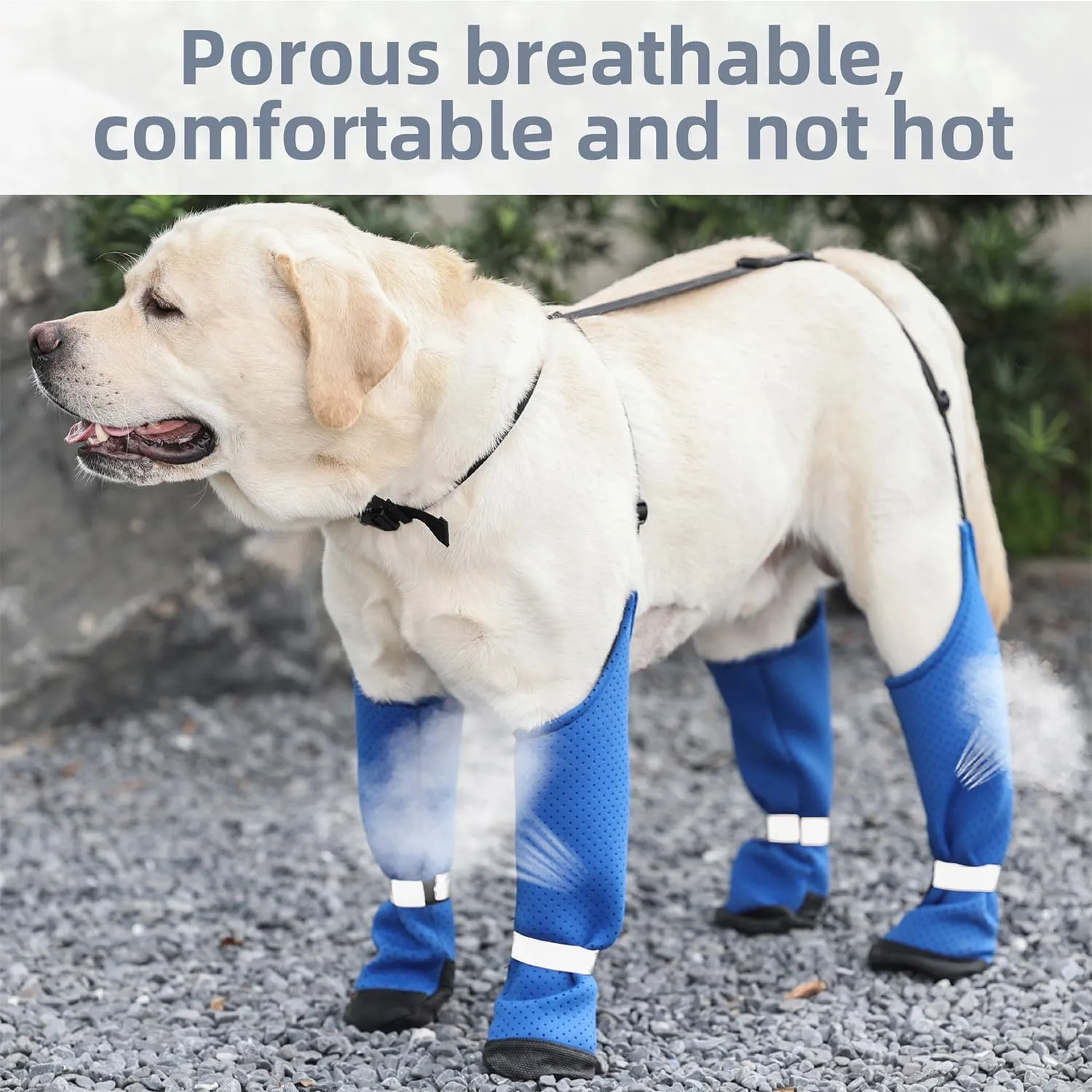 Dog Suspender Boots Paw Boot Leggings, Breathable Tall Dog Shoes with Suspenders for Hot Pavement, Anti-Slip Legging Snow Pants Boot Rubber Sole, Dirty-Proof Dog Rain Boot for Outdoor Walking Hiking,L