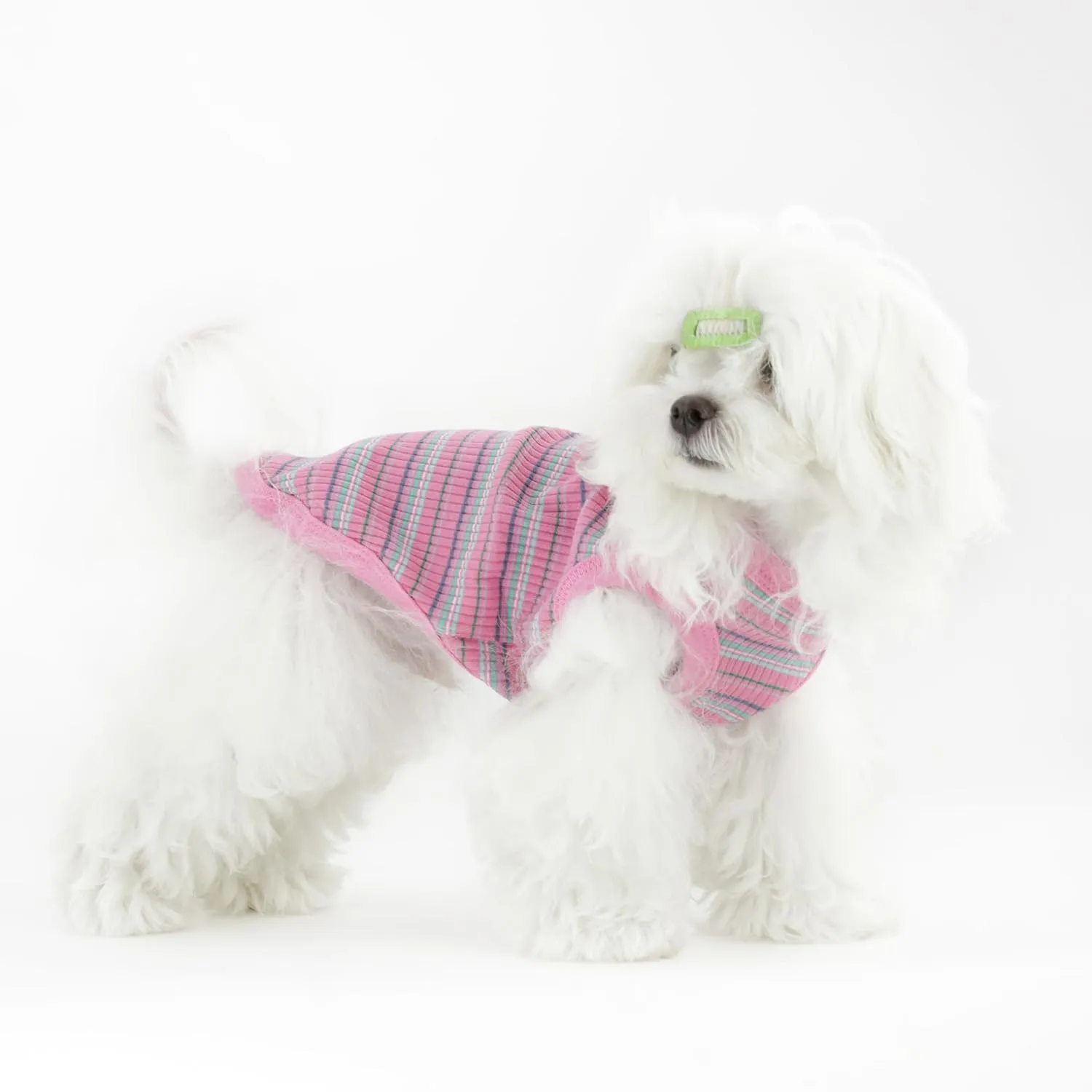 Elevate Your Pet's Comfort and Fashion: Premium 100% Cotton Rib Dog Shirt Vest for Small Breeds Like Chihuahuas, Yorkies, and Puppies .Year-Round Style with Tank-Style Puppy Attire Purple Medium