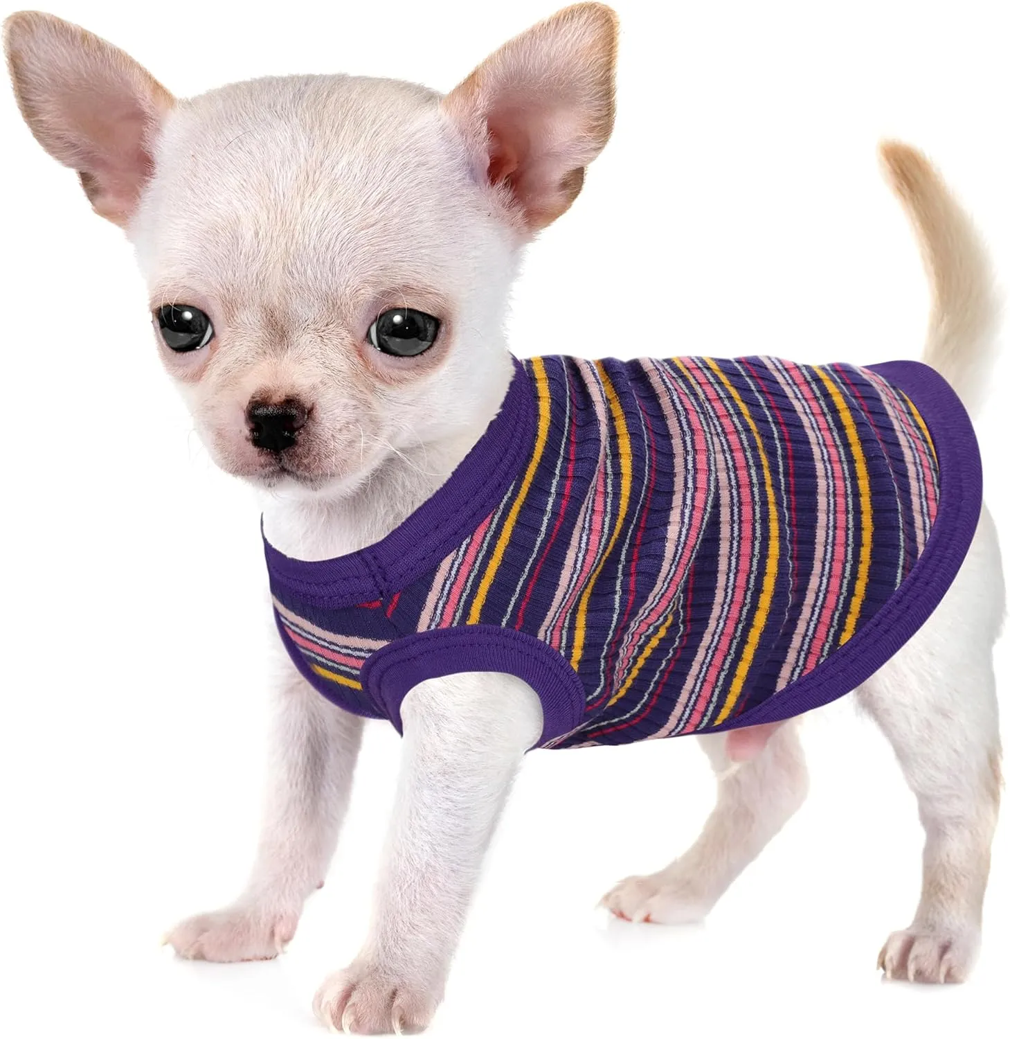 Elevate Your Pet's Comfort and Fashion: Premium 100% Cotton Rib Dog Shirt Vest for Small Breeds Like Chihuahuas, Yorkies, and Puppies .Year-Round Style with Tank-Style Puppy Attire Purple Medium