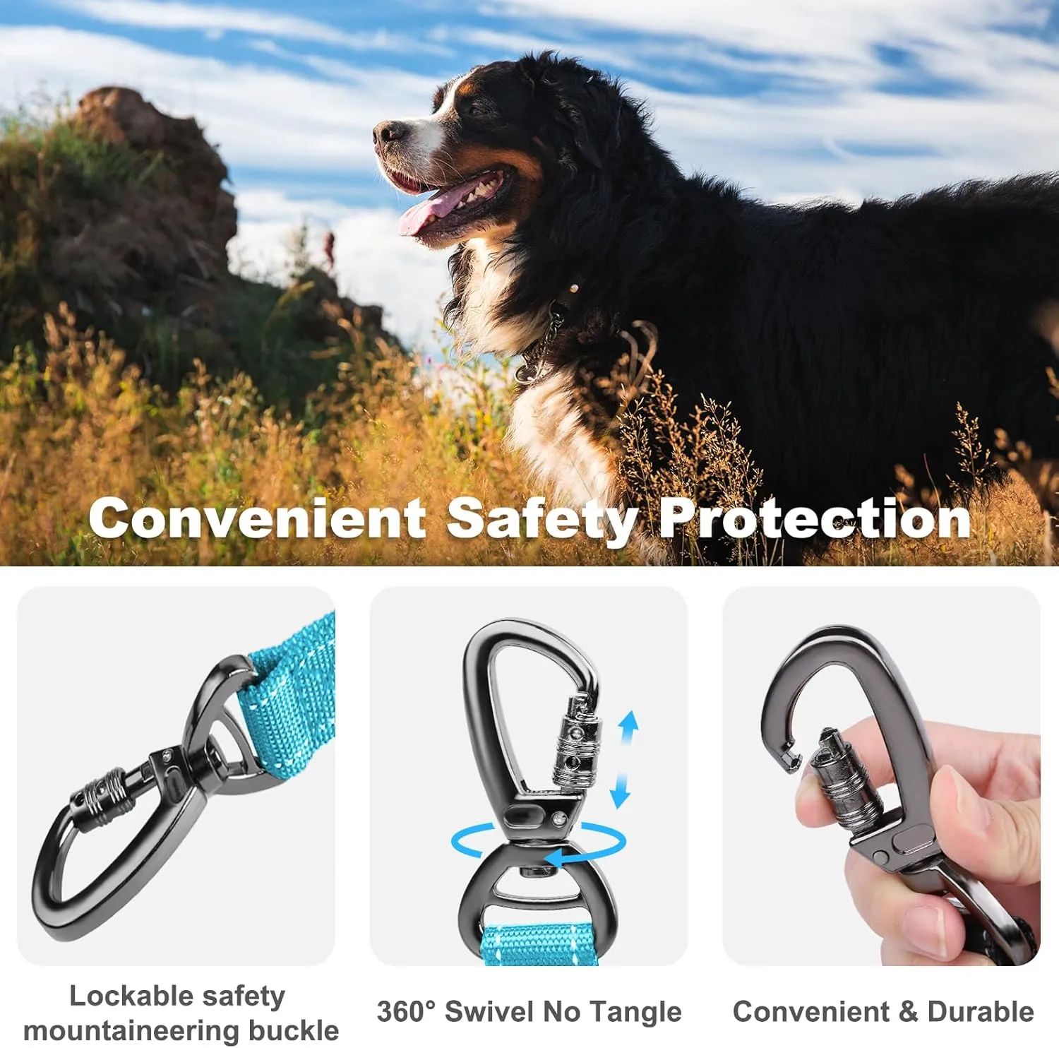 Heavy Duty Dog Leash, Laqibak Double-Sided Reflective Double Handle Dog Leash - Double-Layer Thickening, Lockable Safety Carabiner Design, 6 FT Perfect for Medium & Large Dogs Joyful Strolls, Blue