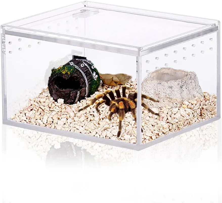 Jumping Spider Enclosure, Integrated Reptile Breeding Box Magnetic Acrylic Reptile Breeding Box for Scorpion Sling Isopods Lizards Roach Invertebrates Insect Mantis(4.1x 3.3X 2.5 inches)