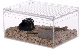 NANEEZOO Magnetic Acrylic Reptile Case - 8"x6"x4" Flat Long Enclosure Transparent Reptile Breeding Box Terrarium Cage - for Tarantula Scorpion Sling Isopods Invertebrates & Insect Mantis