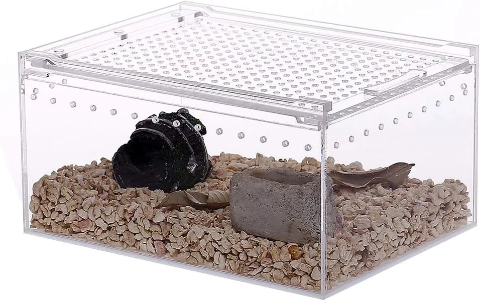 NANEEZOO Magnetic Acrylic Reptile Case - 8"x6"x4" Flat Long Enclosure Transparent Reptile Breeding Box Terrarium Cage - for Tarantula Scorpion Sling Isopods Invertebrates & Insect Mantis